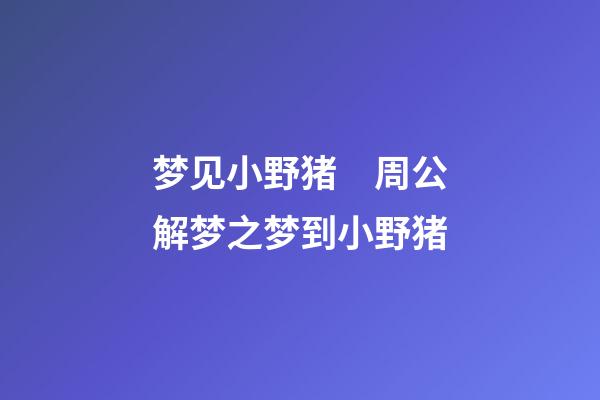 梦见小野猪　周公解梦之梦到小野猪